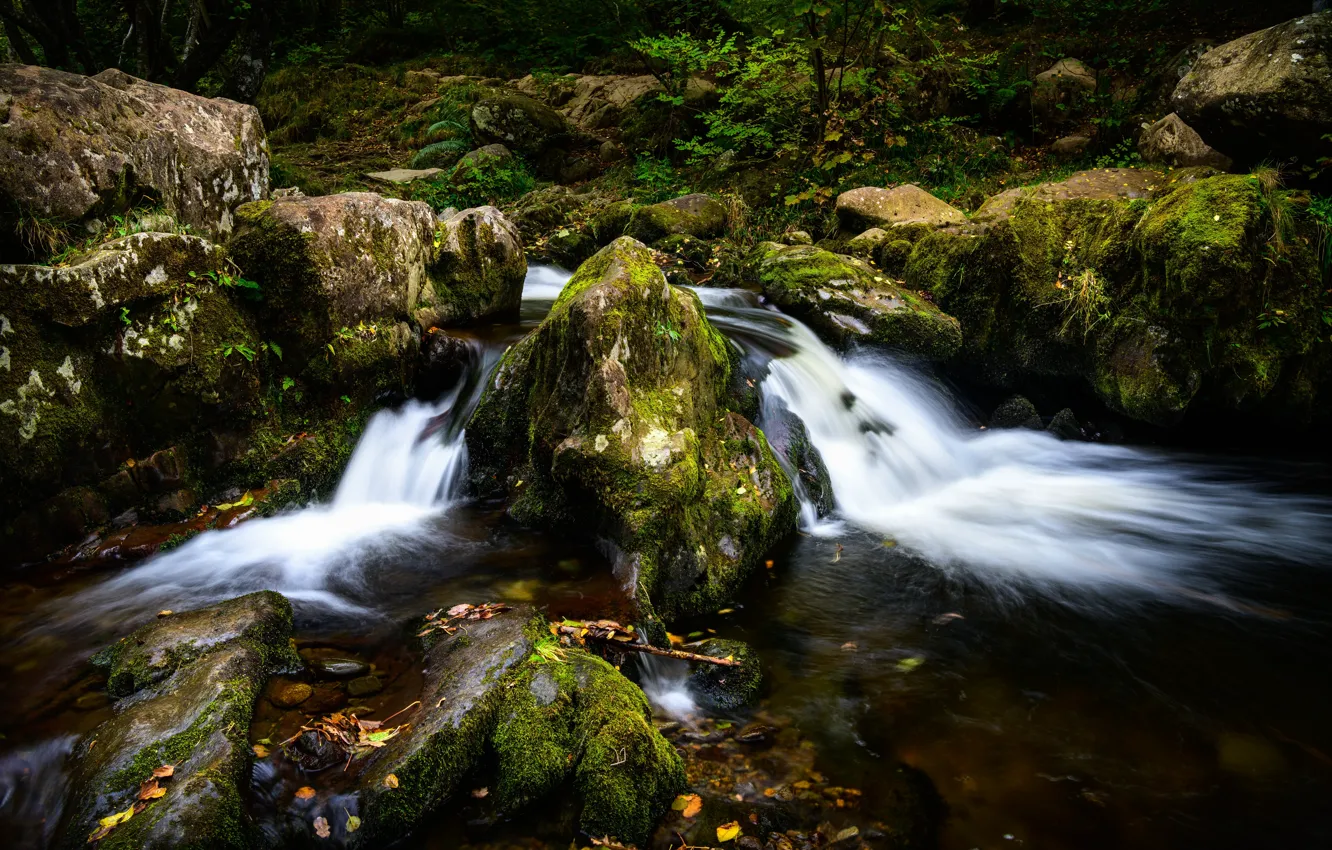 Photo wallpaper stream, stones, England, moss, Lake District, Cumbria