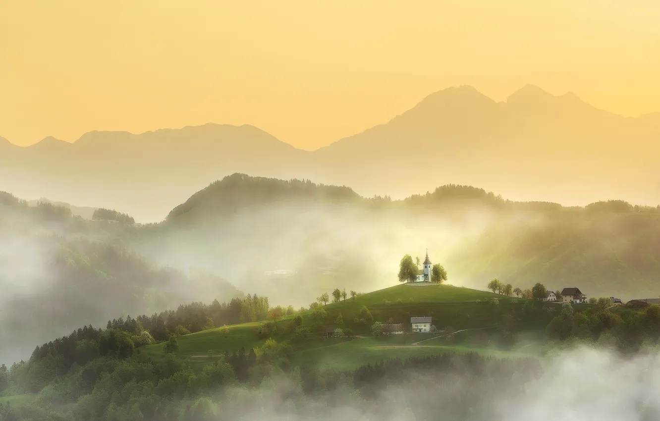 Photo wallpaper forest, trees, mountains, fog, hills, home, Spring, morning, Church