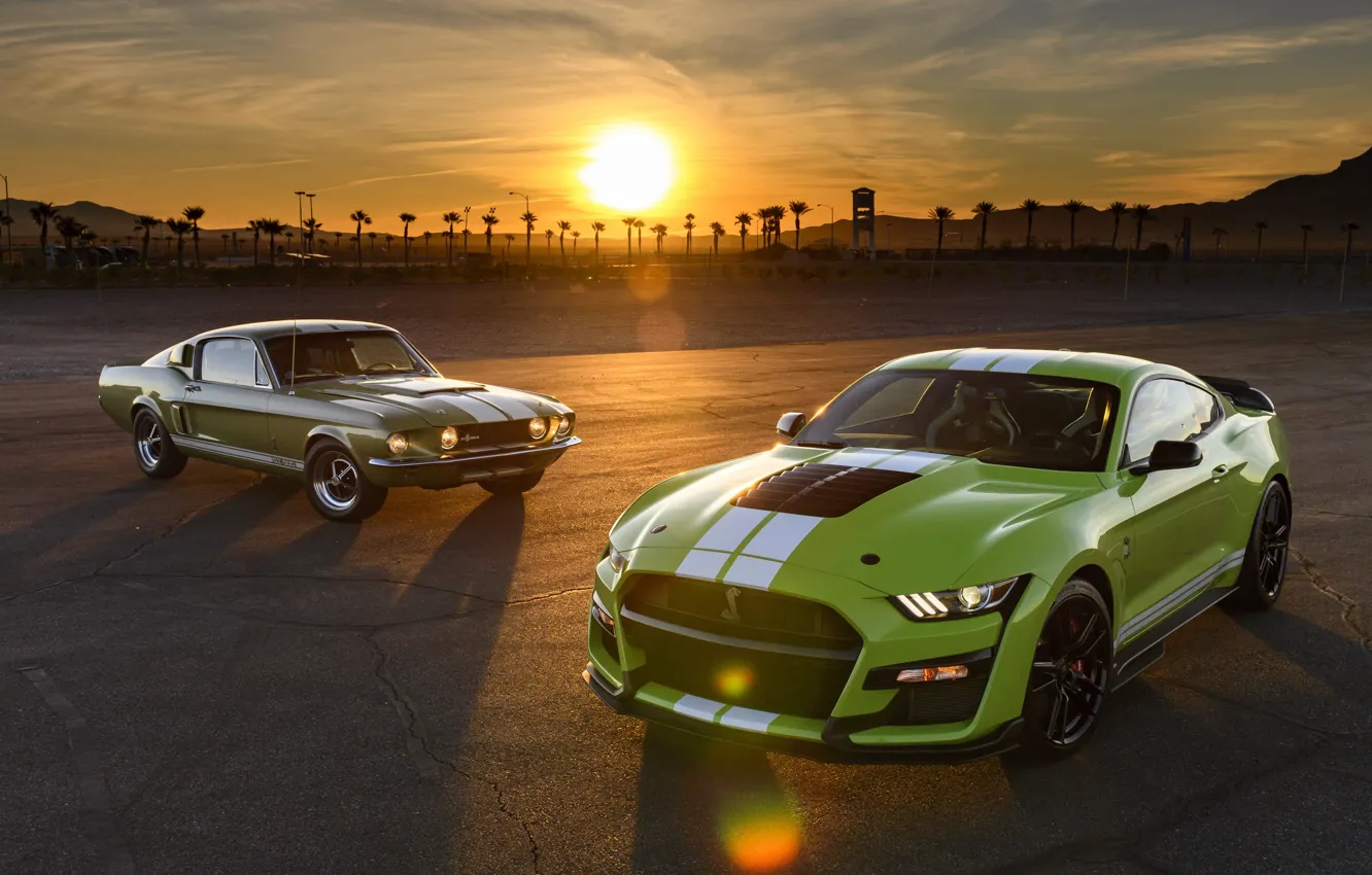 Photo wallpaper green, mustang, ford, gt500 shelby