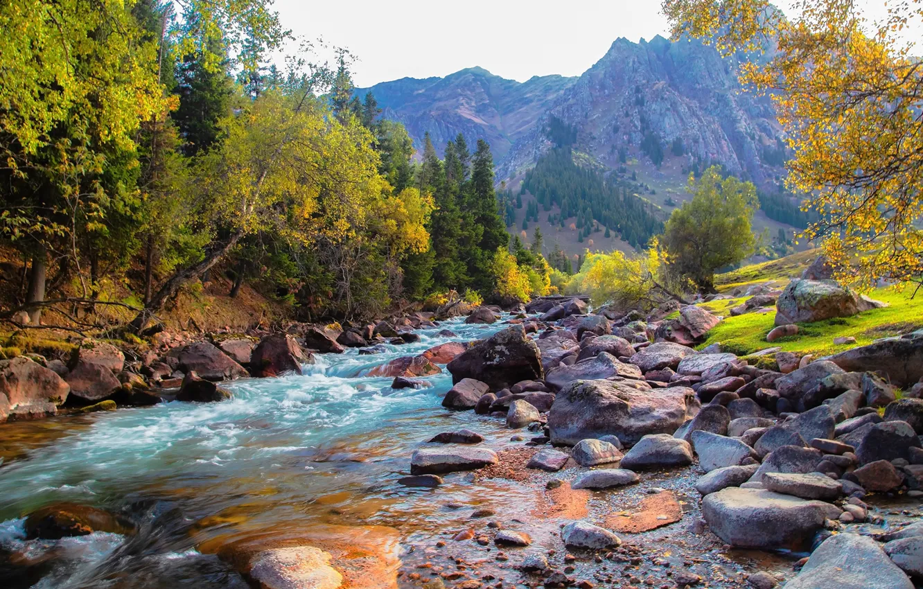 Photo wallpaper autumn, forest, landscape, mountains, nature, river, stones, Kyrgyzstan