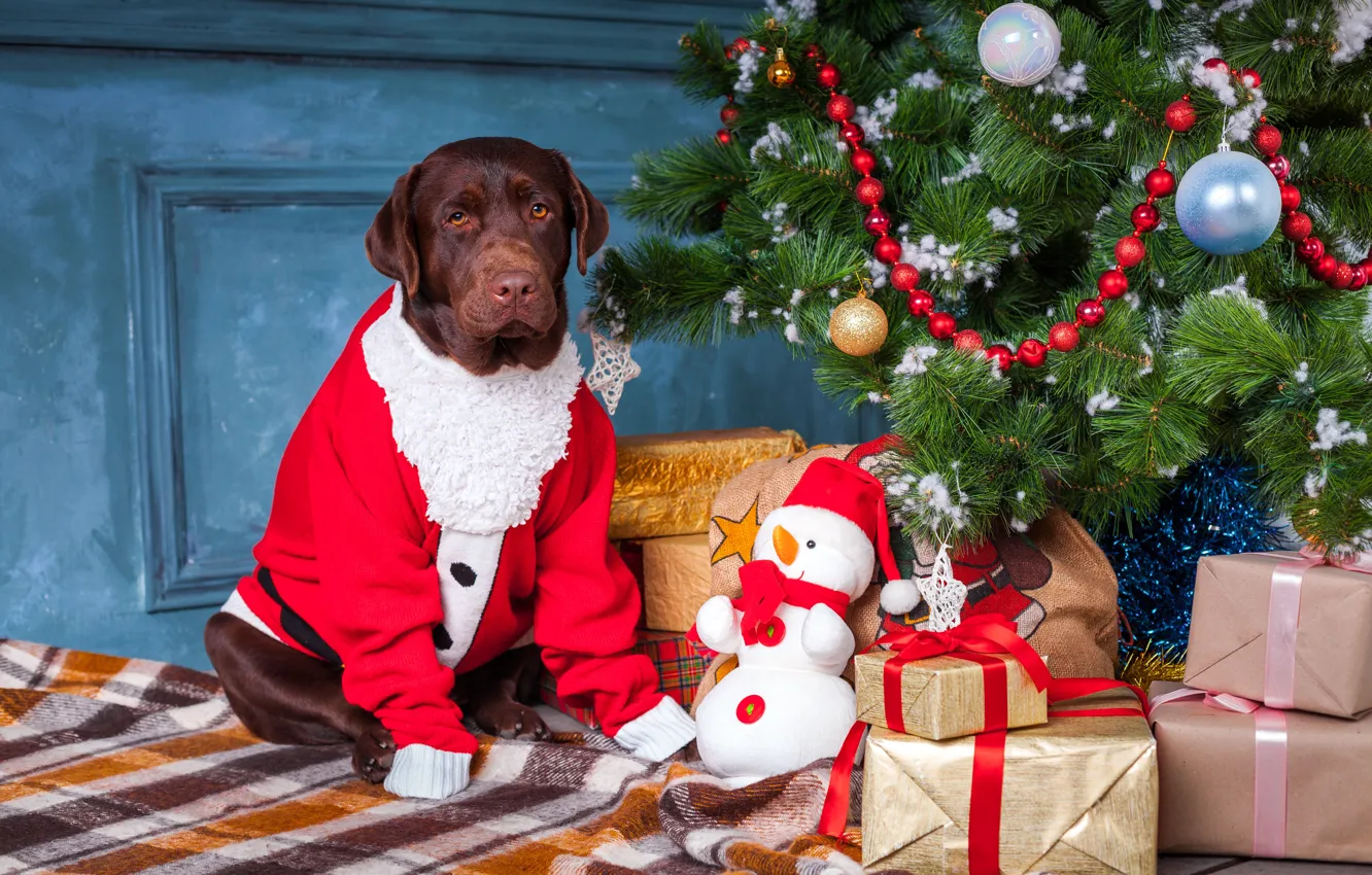 Photo wallpaper decoration, balls, tree, dog, Christmas, gifts, New year, snowman, christmas, balls, dog, Labrador Retriever, labrador …