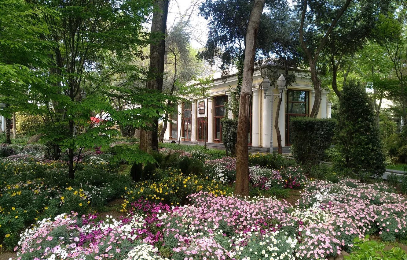 Photo wallpaper Spring, Spring, Azerbaijan, Azerbaijan, Baku, Baku, The Governor's garden