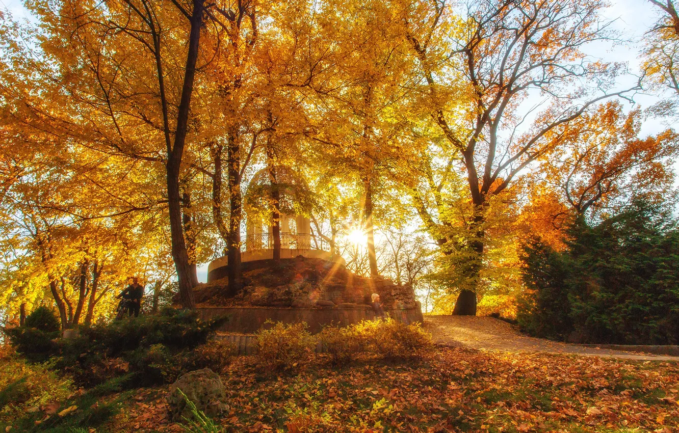 Photo wallpaper autumn, the sun, rays, landscape, nature, Park, Krasnodar, Paul Sahaidak