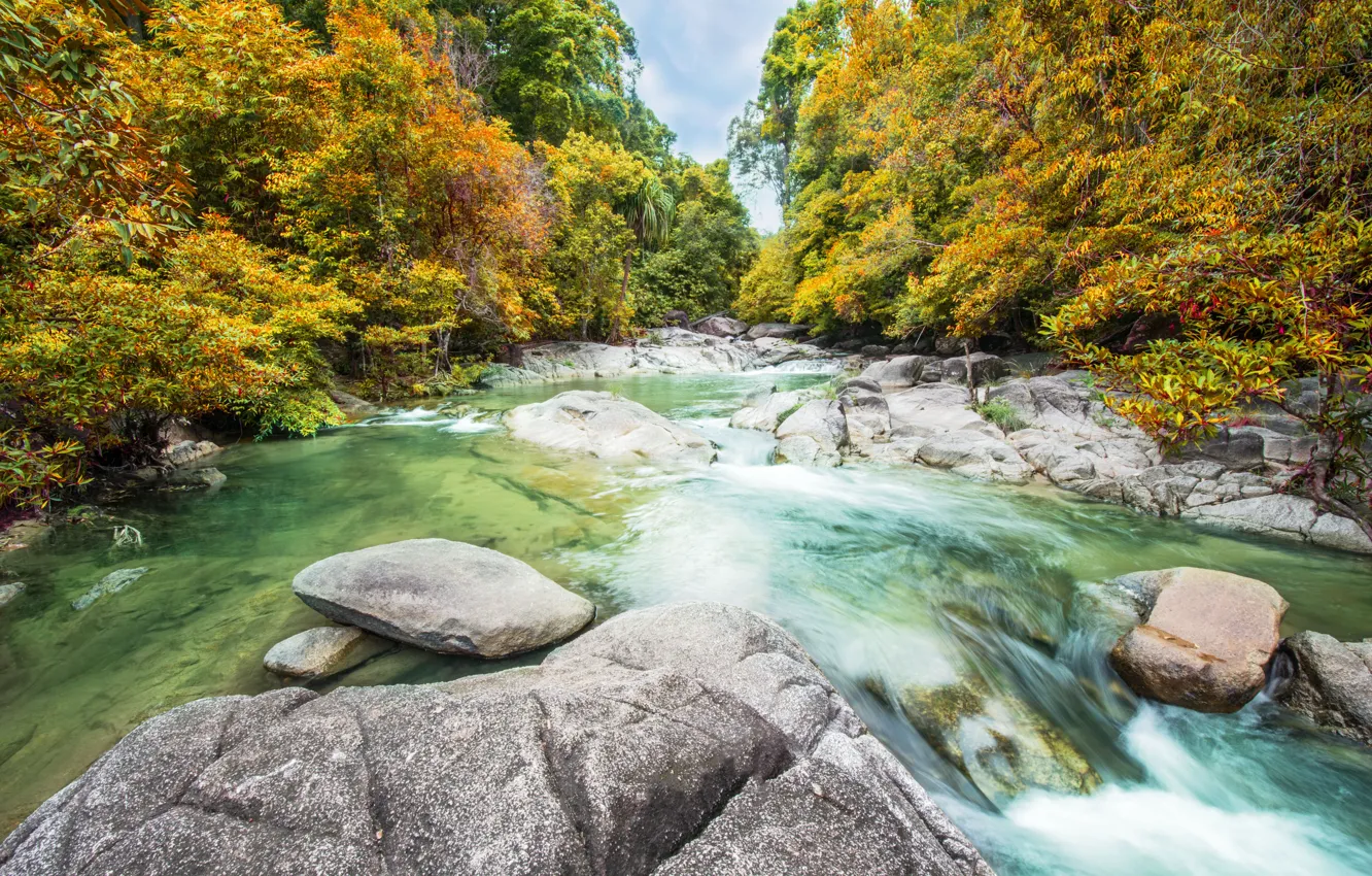 Photo wallpaper autumn, forest, landscape, river, rocks, waterfall, forest, river, landscape, beautiful, autumn, leaves, waterfall