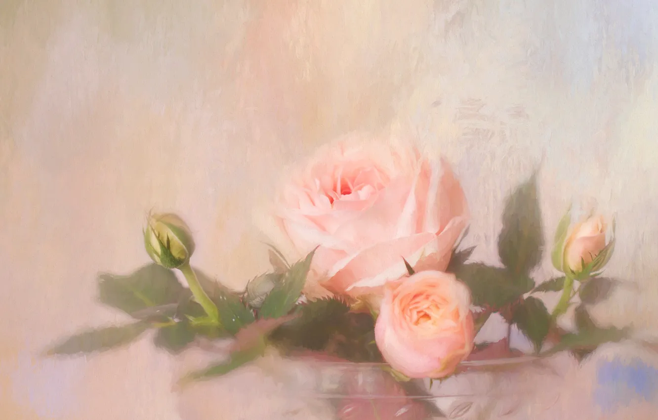 Wallpaper glass, flowers, background, figure, roses, treatment, bouquet,  light, art, pink, painting, buds, gently, blurry, dissolution, strokes  images for desktop, section цветы - download