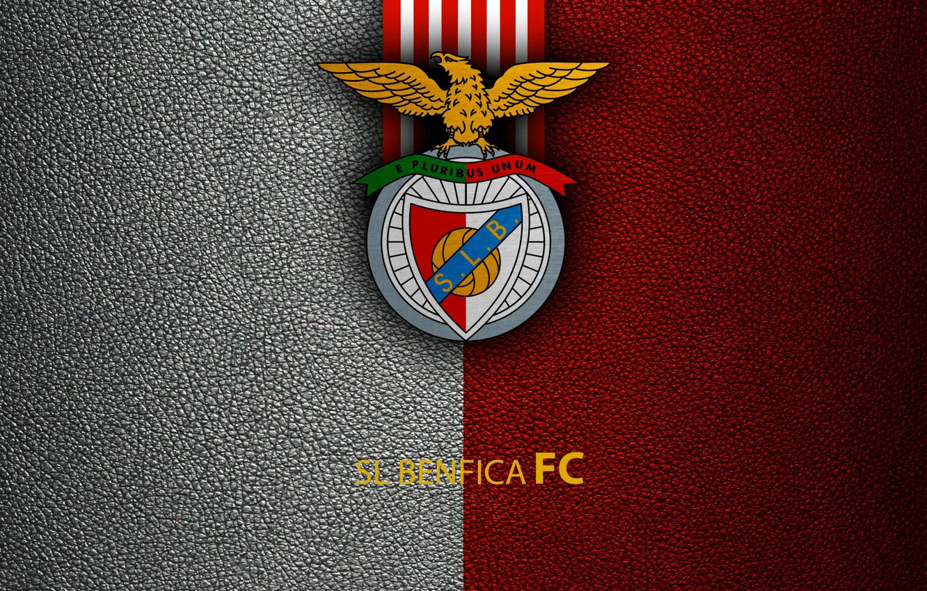 Wallpaper wallpaper, sport, logo, football, SL Benfica, First images