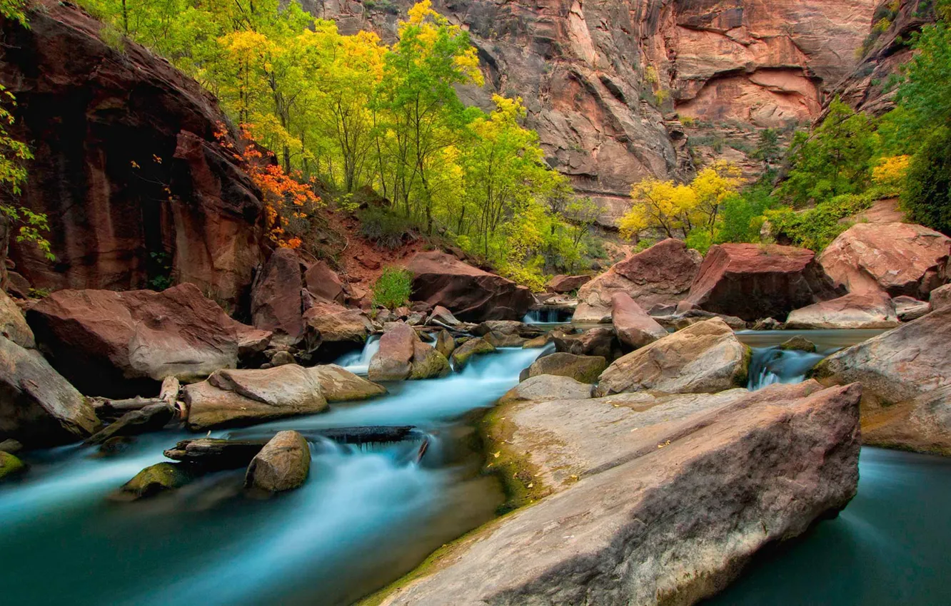 Photo wallpaper autumn, trees, stones, rocks, Utah, USA, the river virgin, Zion
