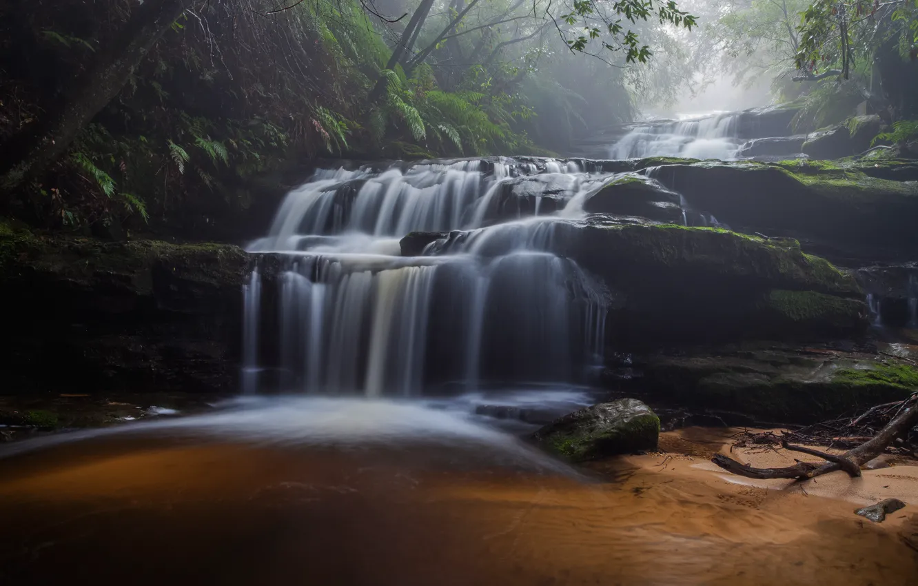 Photo wallpaper water, branches, nature, the dark background, waterfall, stream, cascade