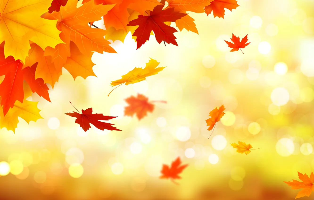 Photo wallpaper autumn, leaves, background, colorful, maple, background, autumn, leaves, maple