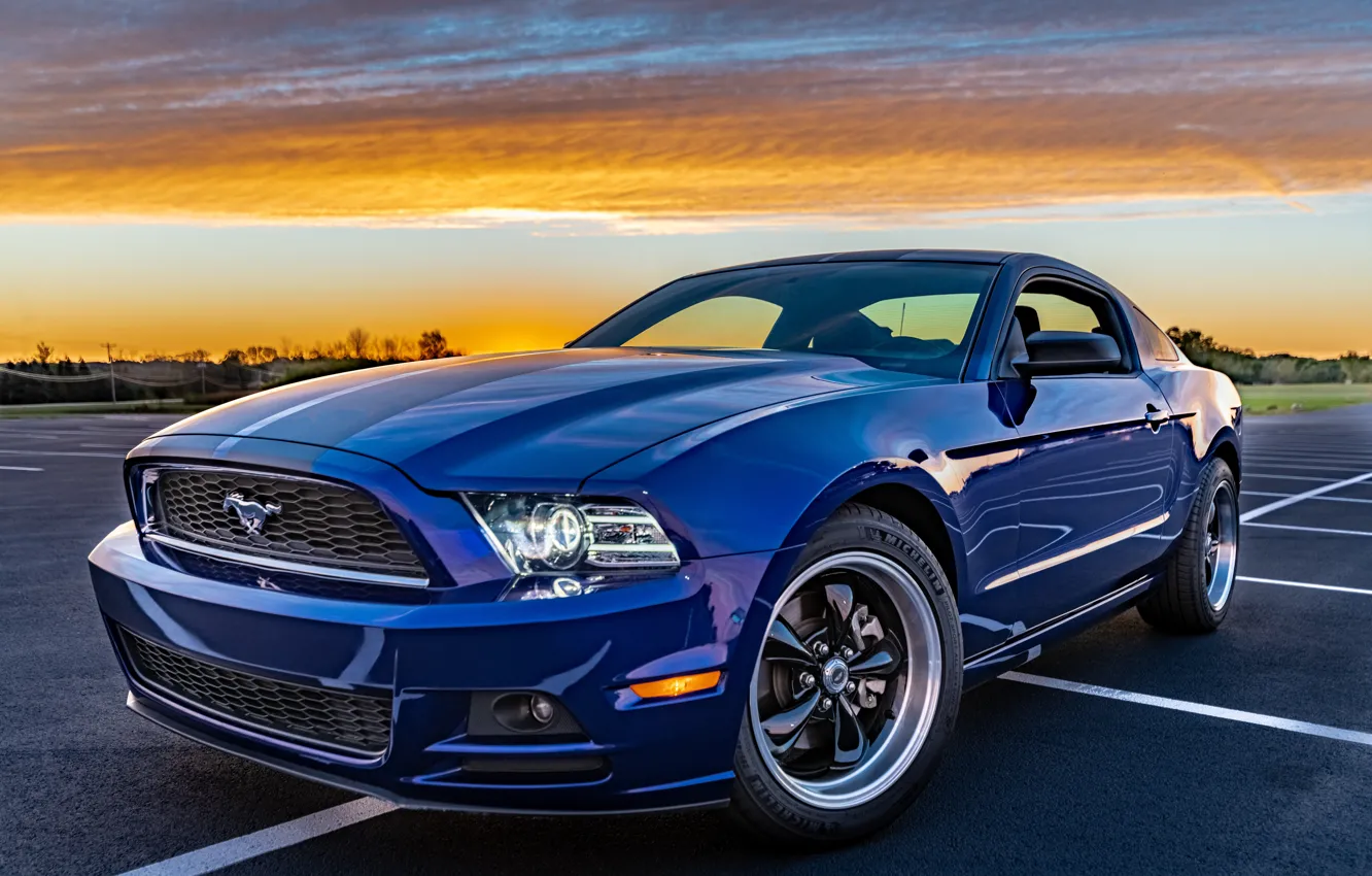 Photo wallpaper Muscle car, Pony Car, 2014 Ford Mustang