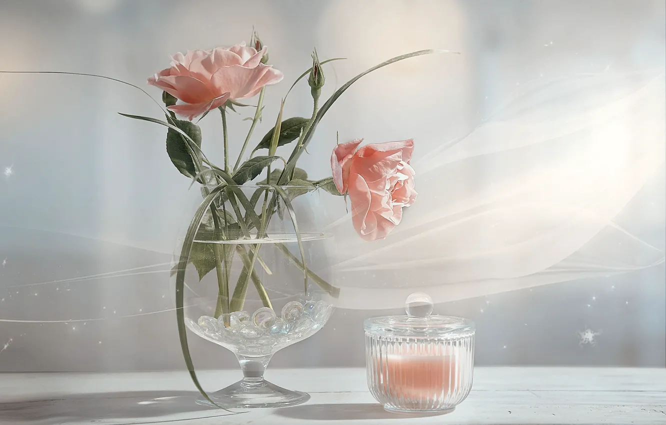 Wallpaper glass, light, flowers, glass, roses, bouquet, Bank, pink, still  life, light background, bokeh images for desktop, section цветы - download