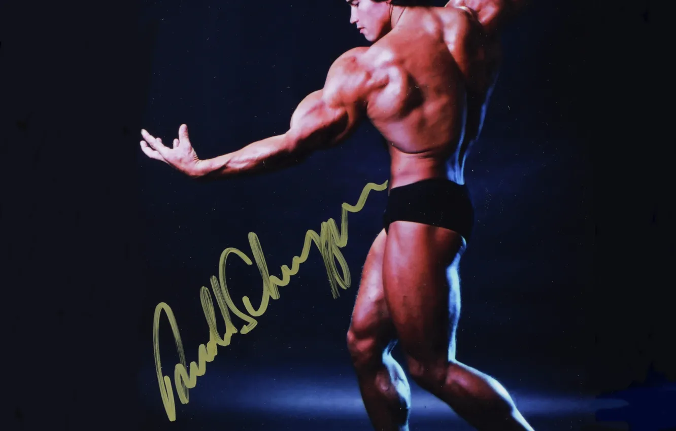 Wallpaper Sport, Star, Actor, Male, Arnold Schwarzenegger, The dark  background, Arnold Schwarzenegger, Bodybuilding, Bodybuilder, Muscle,  Biceps, Jock, Autograph, Personality images for desktop, section спорт -  download