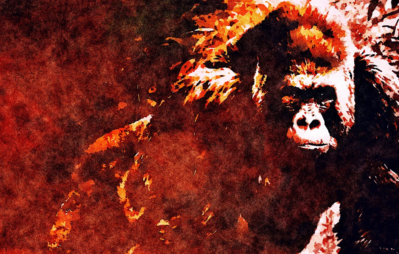 Wallpaper nature, art, painting, gorilla, picture, a monkey, graphic arts  images for desktop, section животные - download