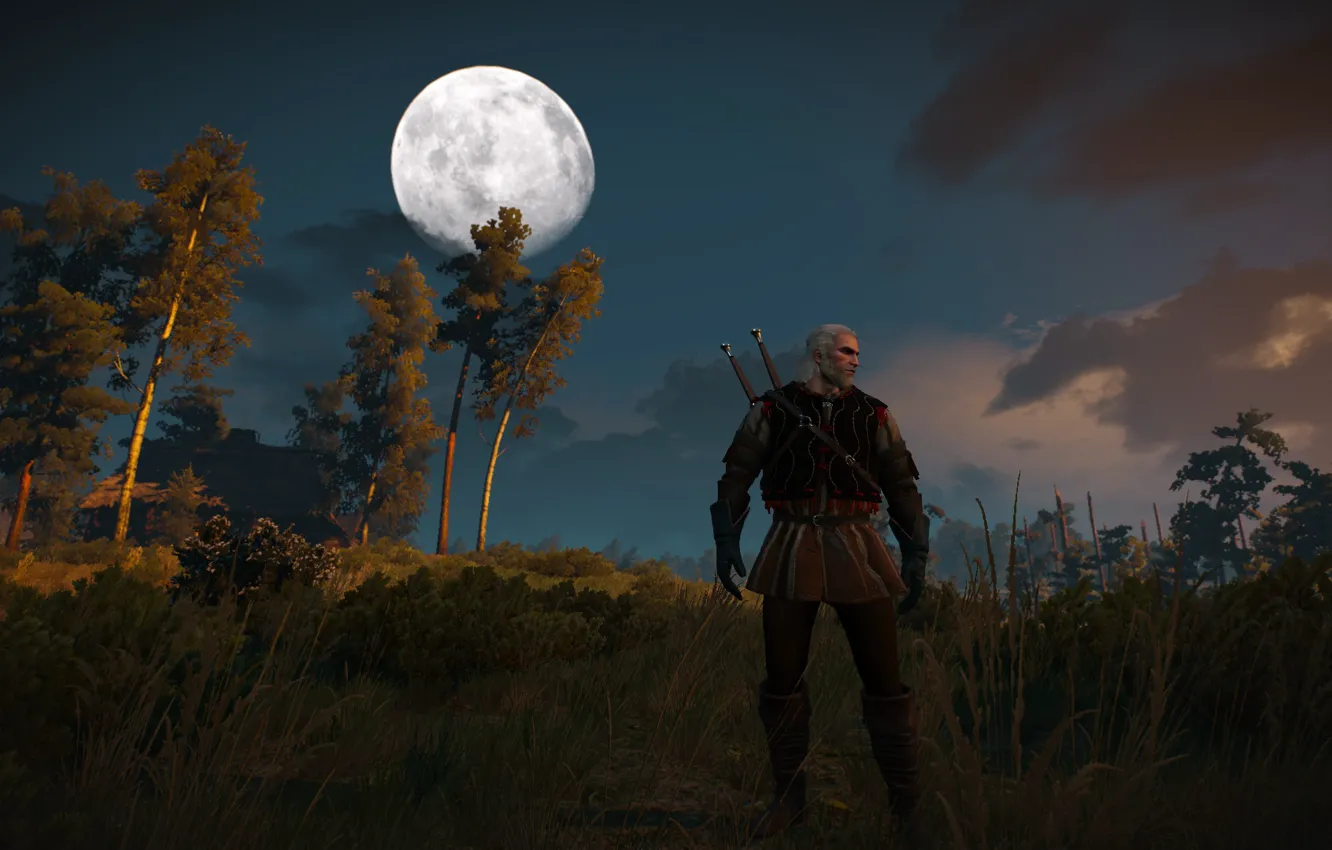 Photo wallpaper Witcher, Witcher 3 Wild Hunt, Geralt from Rivia