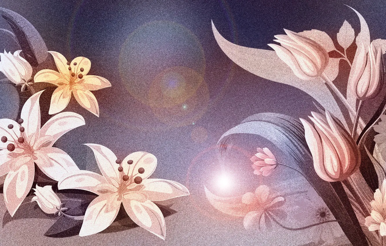 Wallpaper Graphics, Flowers images for desktop, section цветы - download