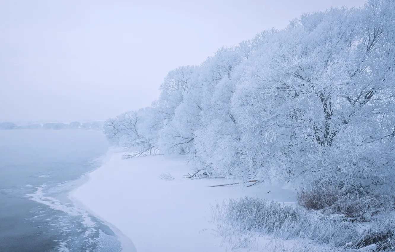 Photo wallpaper snow, trees, lake, shore, Сергей Полетаев, Sergei Poletaev
