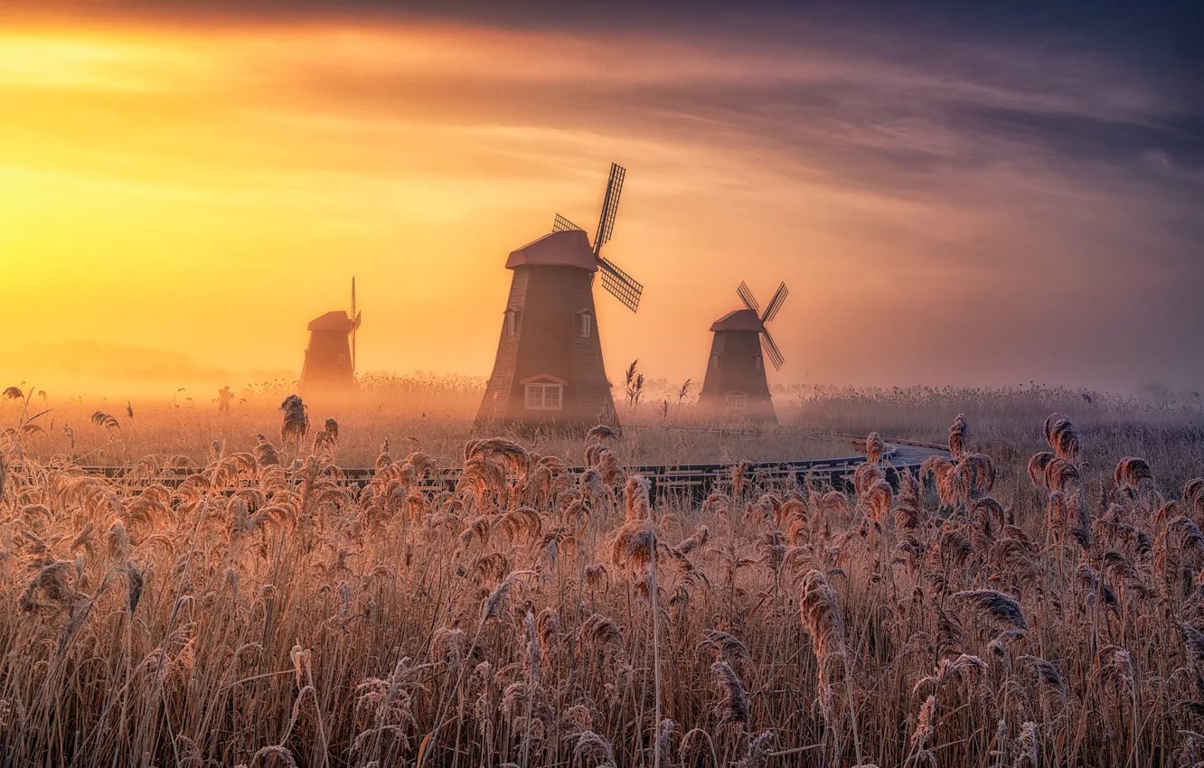 Photo wallpaper field, the sky, grass, clouds, fog, dawn, spikelets, mill, railroad, haze, windmills, windmill
