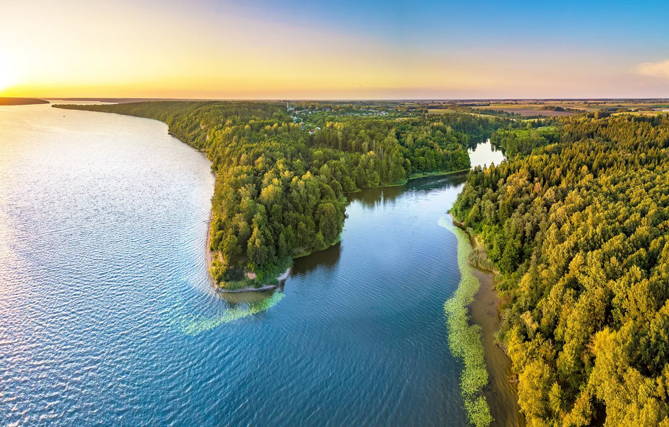 Photo wallpaper forest, lake, panorama, Lithuania, Lithuania, Kaunas Reservoir, Kaunas County, Mergakalnis, The Kaunas reservoir