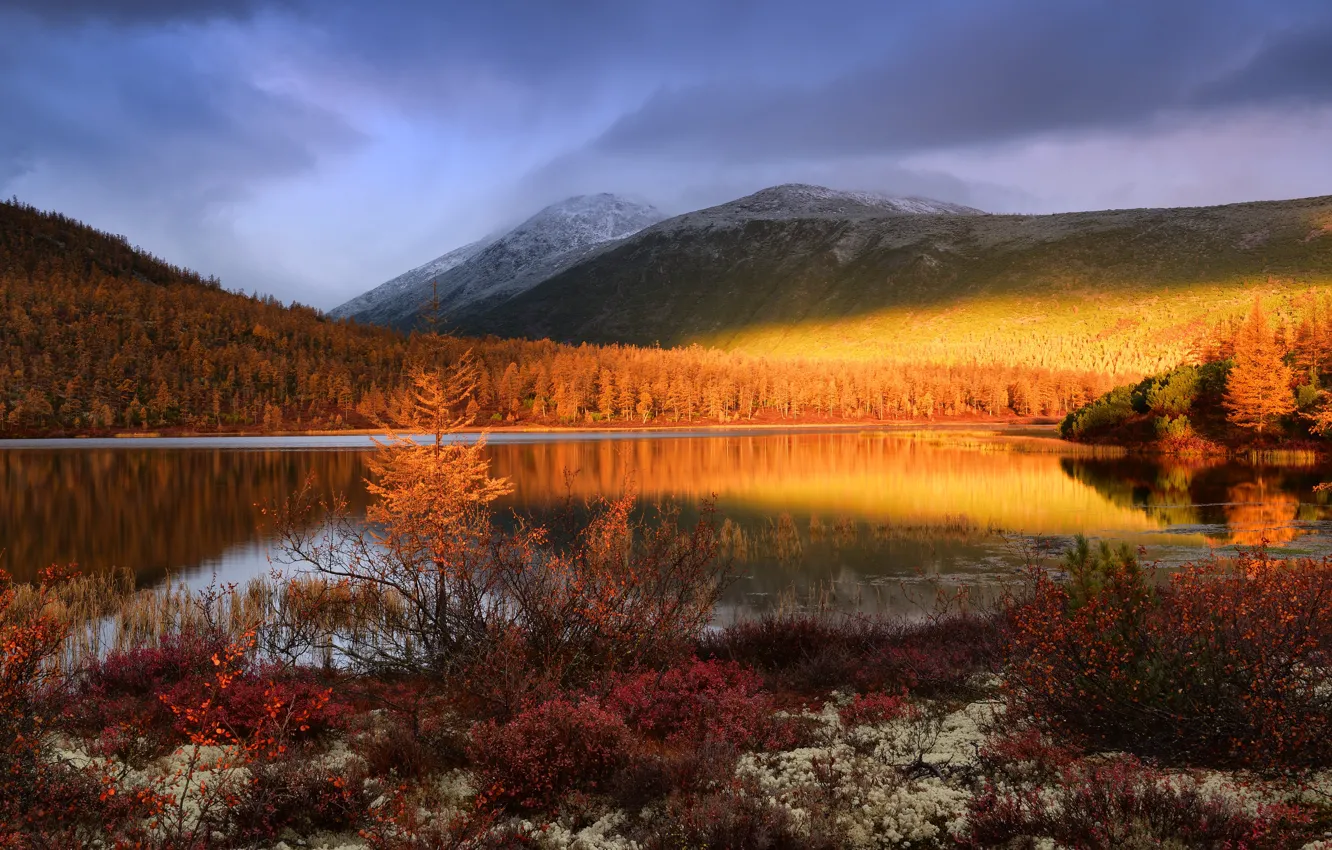 Photo wallpaper autumn, landscape, mountains, nature, vegetation, forest, Kolyma, Maxim Evdokimov, the lake of Jack London