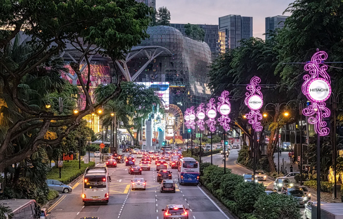 Photo wallpaper road, trees, machine, the city, transport, building, the evening, lighting, Singapore, Orchard Road