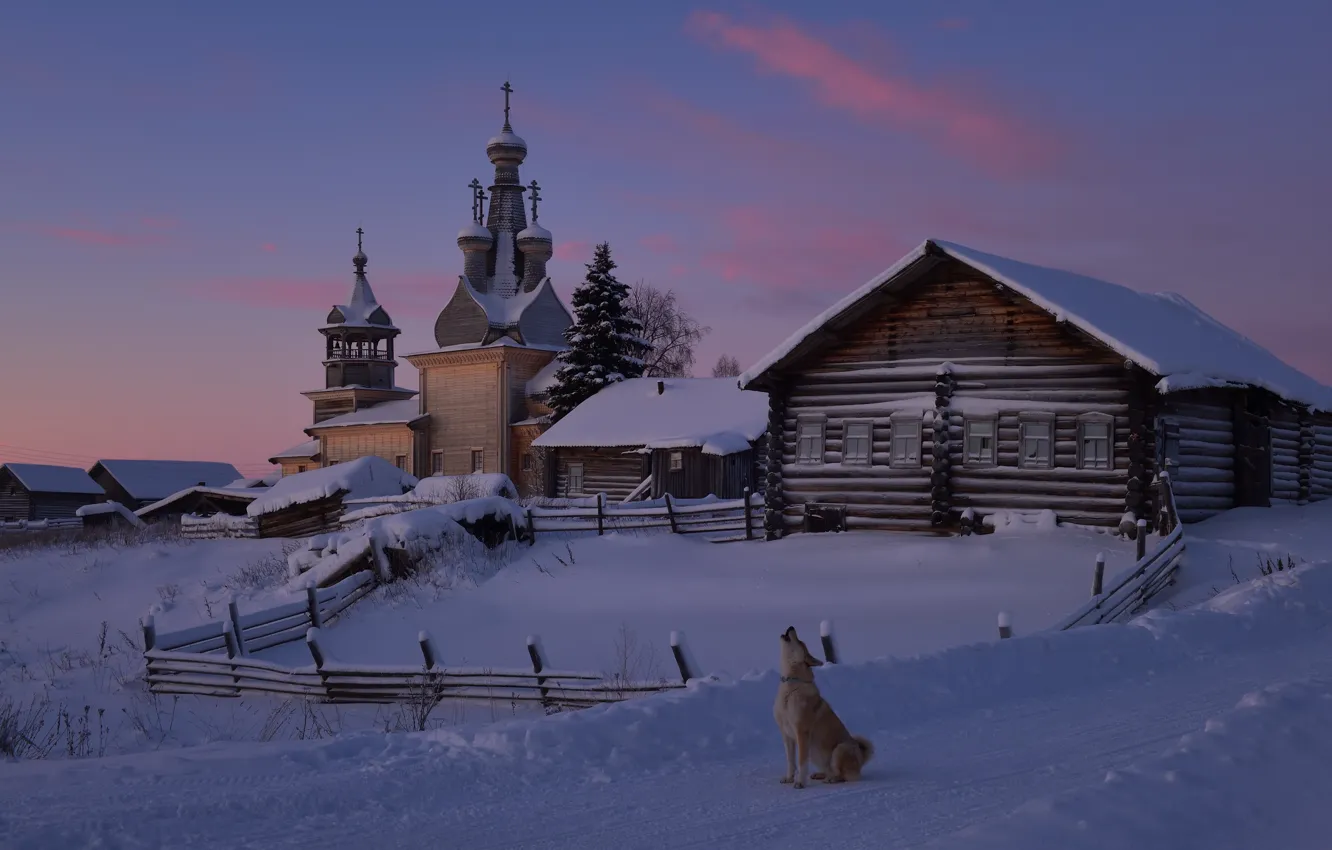Photo wallpaper winter, snow, landscape, nature, home, dog, the evening, village, Church, Arkhangelsk oblast, Kimzha, Maxim Evdokimov