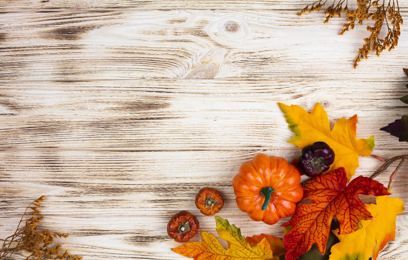 Wallpaper Autumn Leaves Pumpkin Autumn Images For Desktop Section Raznoe Download