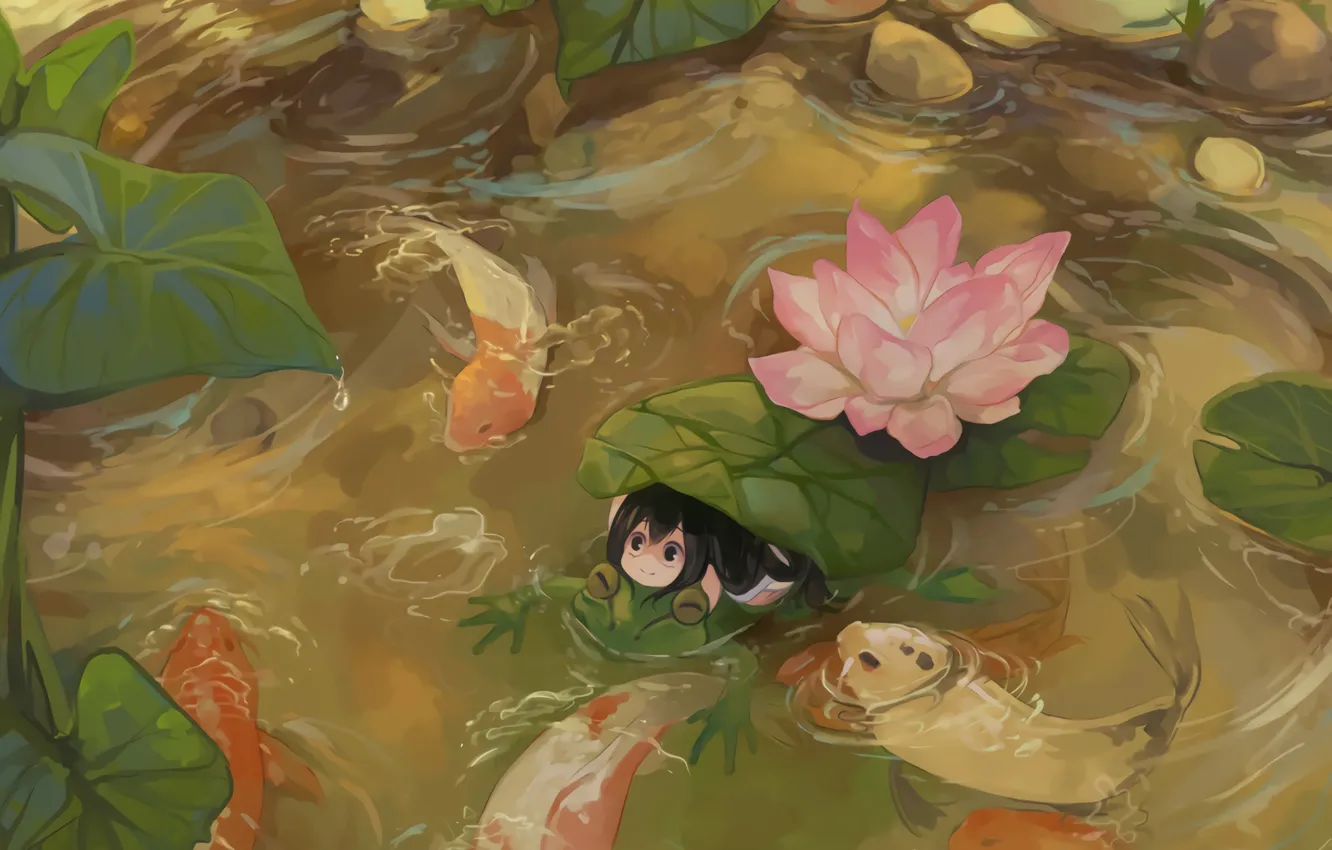 Photo wallpaper frog, in the water, looking up, pink Lotus, Lotus leaf, koi, The Asui TSU, My …