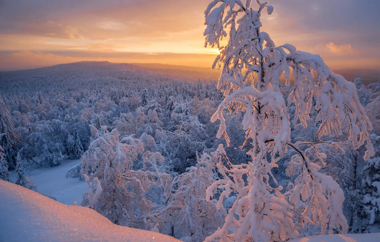 Photo wallpaper winter, forest, snow, trees, sunset, Russia, Chelyabinsk oblast, Денис Закаляпин