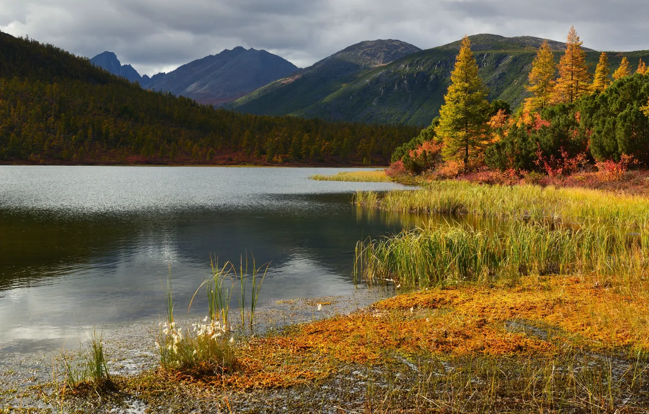 Photo wallpaper autumn, grass, trees, landscape, mountains, nature, lake, forest, Kolyma, Maxim Evdokimov