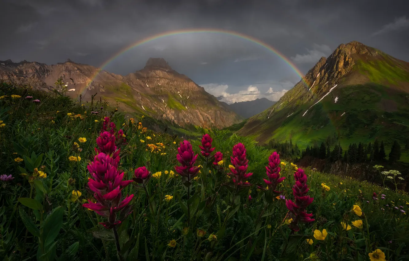 Photo wallpaper flowers, mountains, rainbow