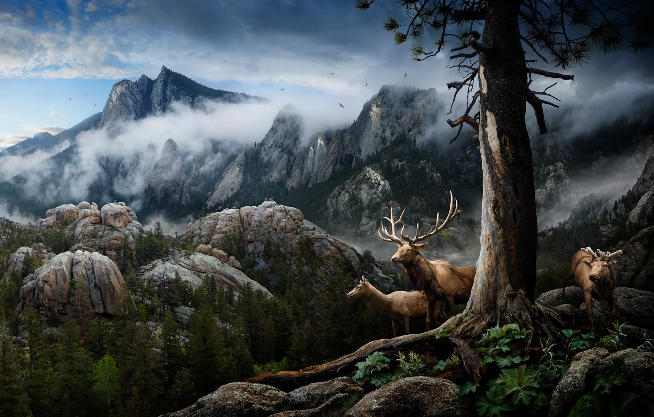 Photo wallpaper clouds, mountains, collage, deer, horns