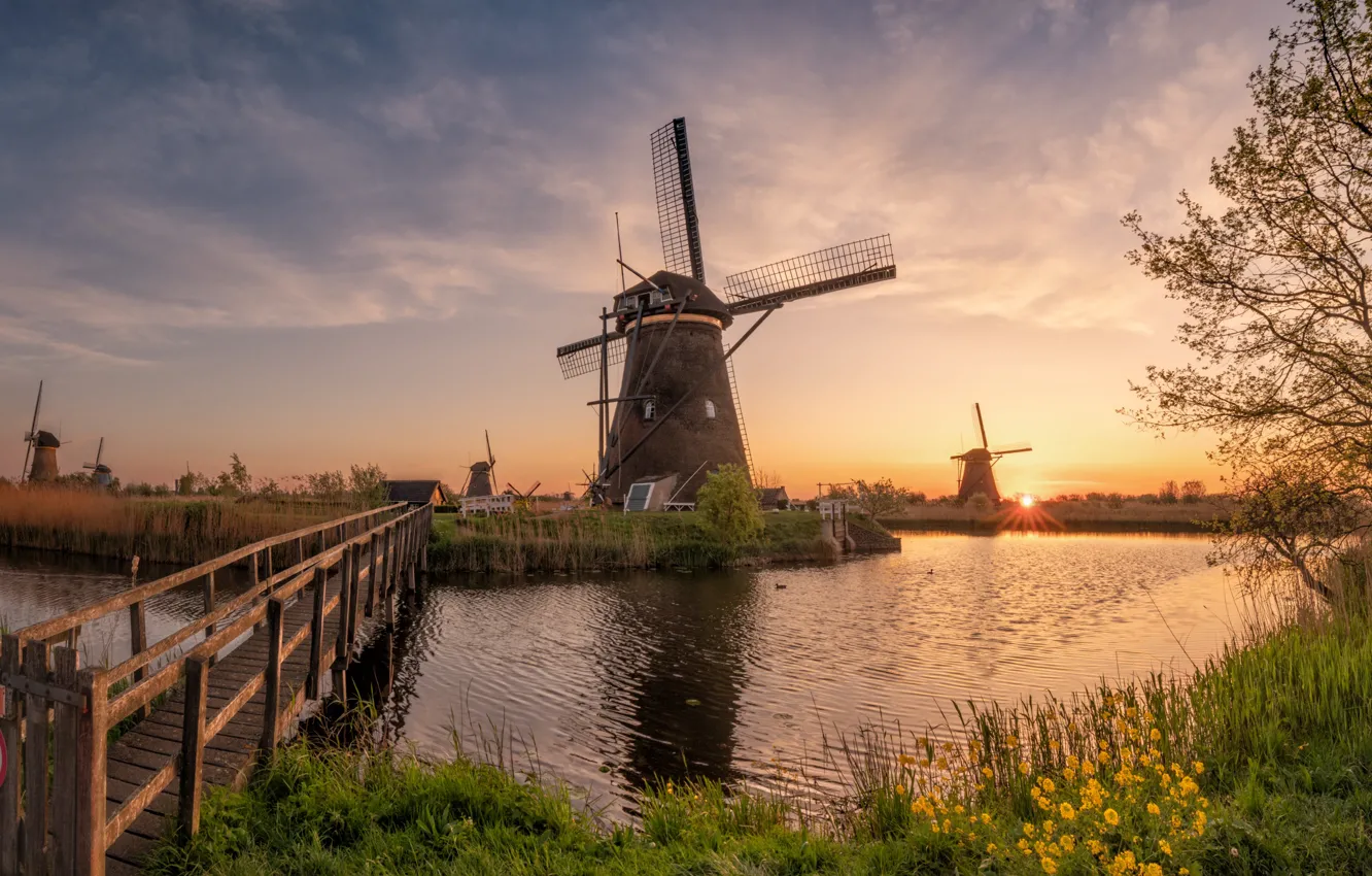 Photo wallpaper grass, the sun, rays, landscape, nature, river, morning, village, mill, Netherlands, the bridge, Holland, Kinderdijk