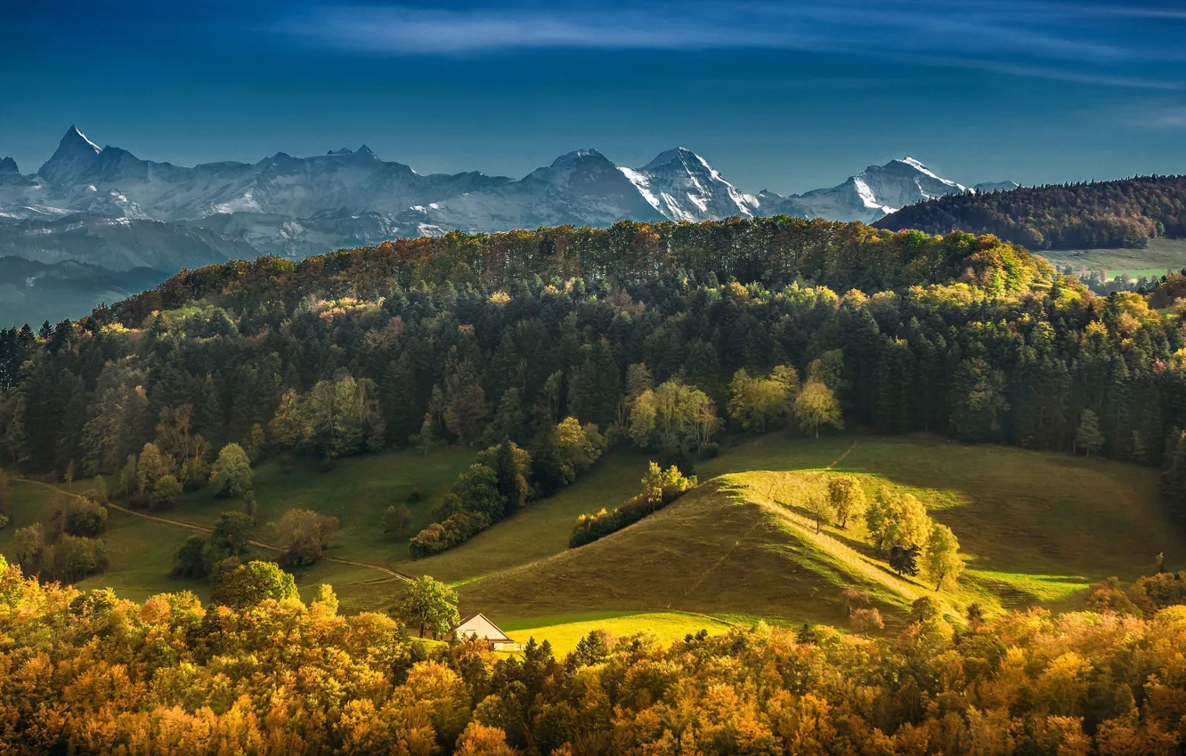 Photo wallpaper autumn, forest, mountains, Switzerland, Switzerland, Bernese Alps, The Bernese Alps, Bernese Oberland, Bernese Oberland