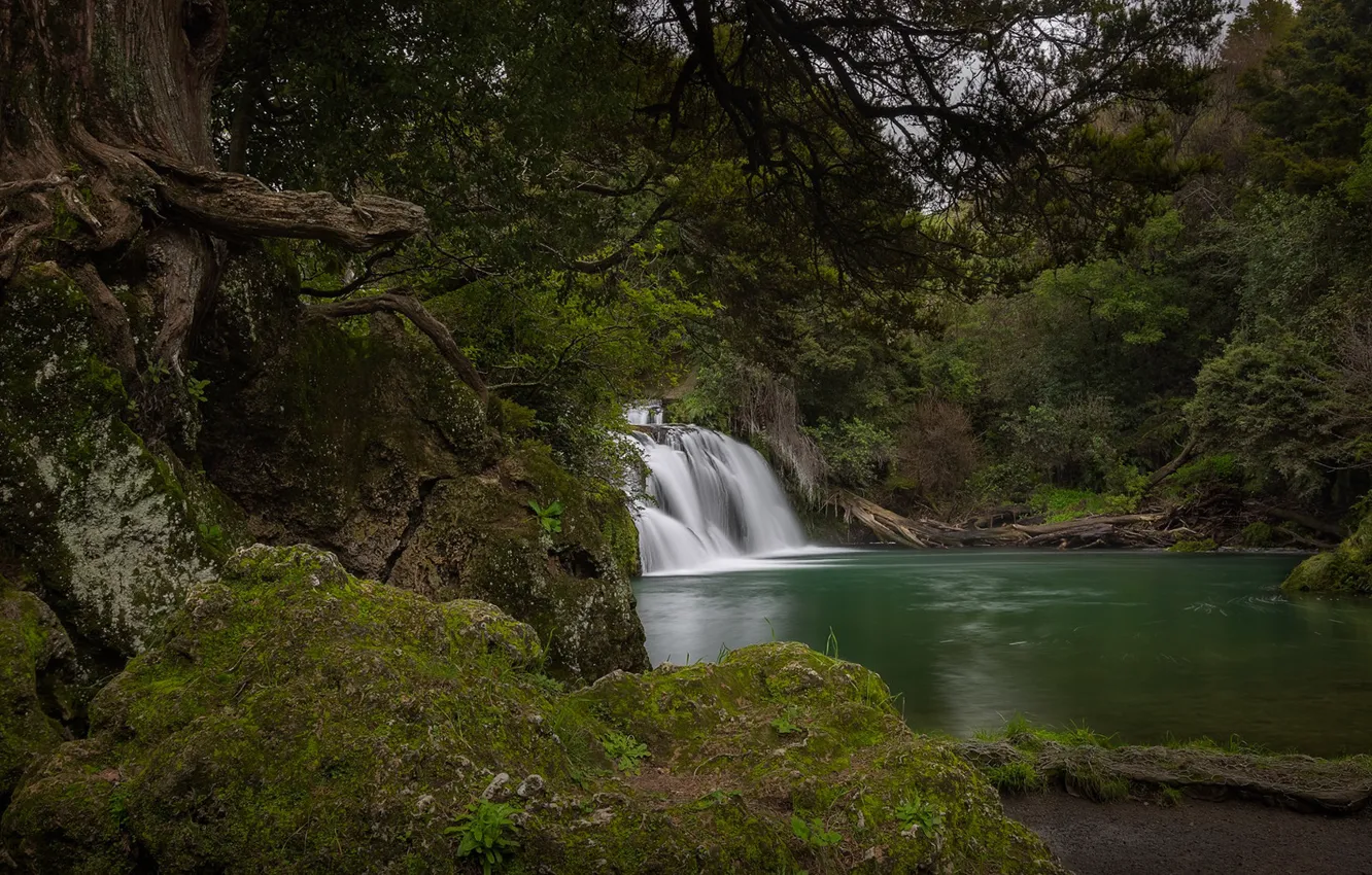 Photo wallpaper forest, river, waterfall, New Zealand, Hawke's Bay, River Maraetotara, Hawke's Bay, Maraetotara River, Maraetotara Falls, …