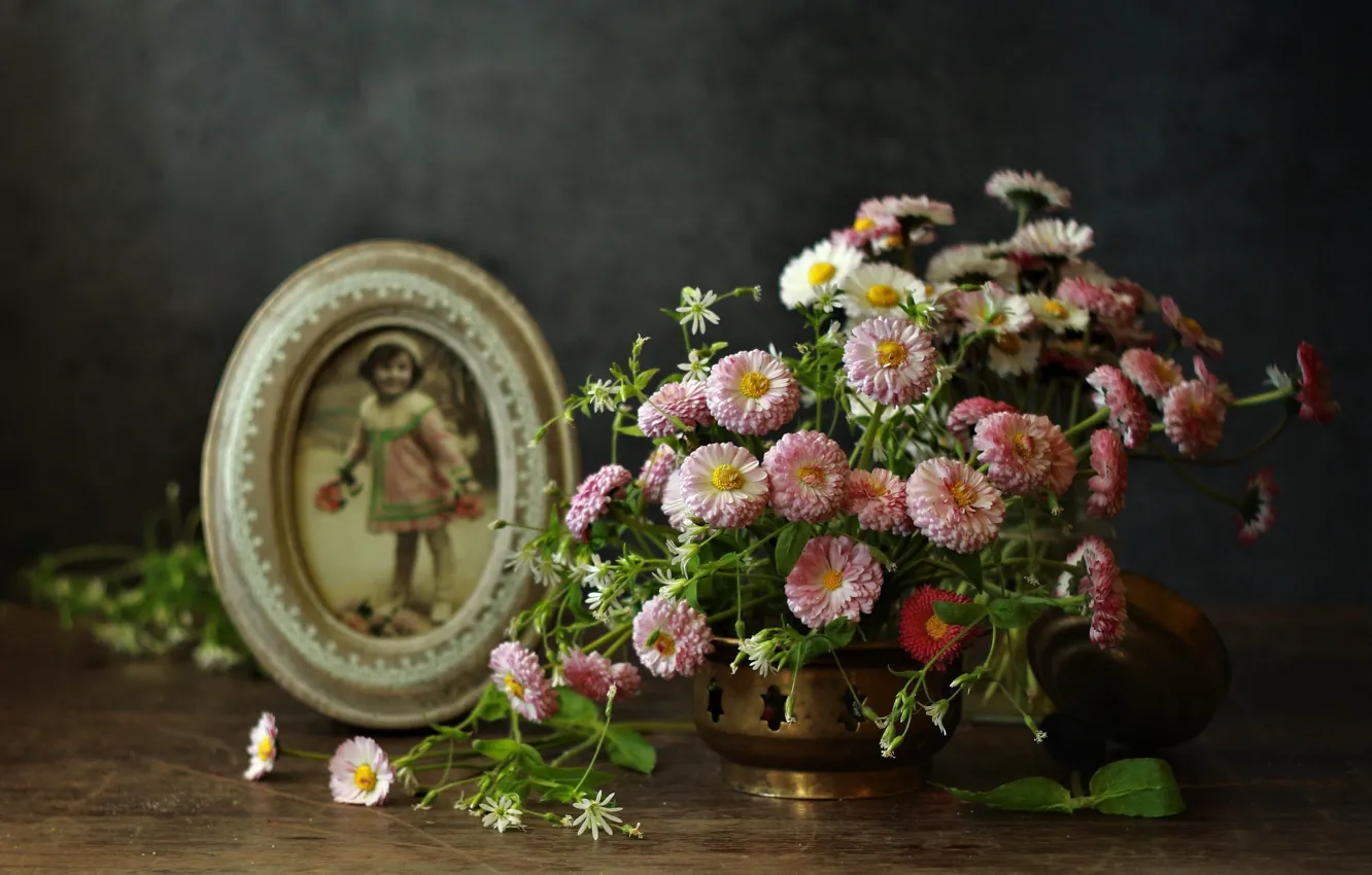 Photo wallpaper flowers, photo, Daisy
