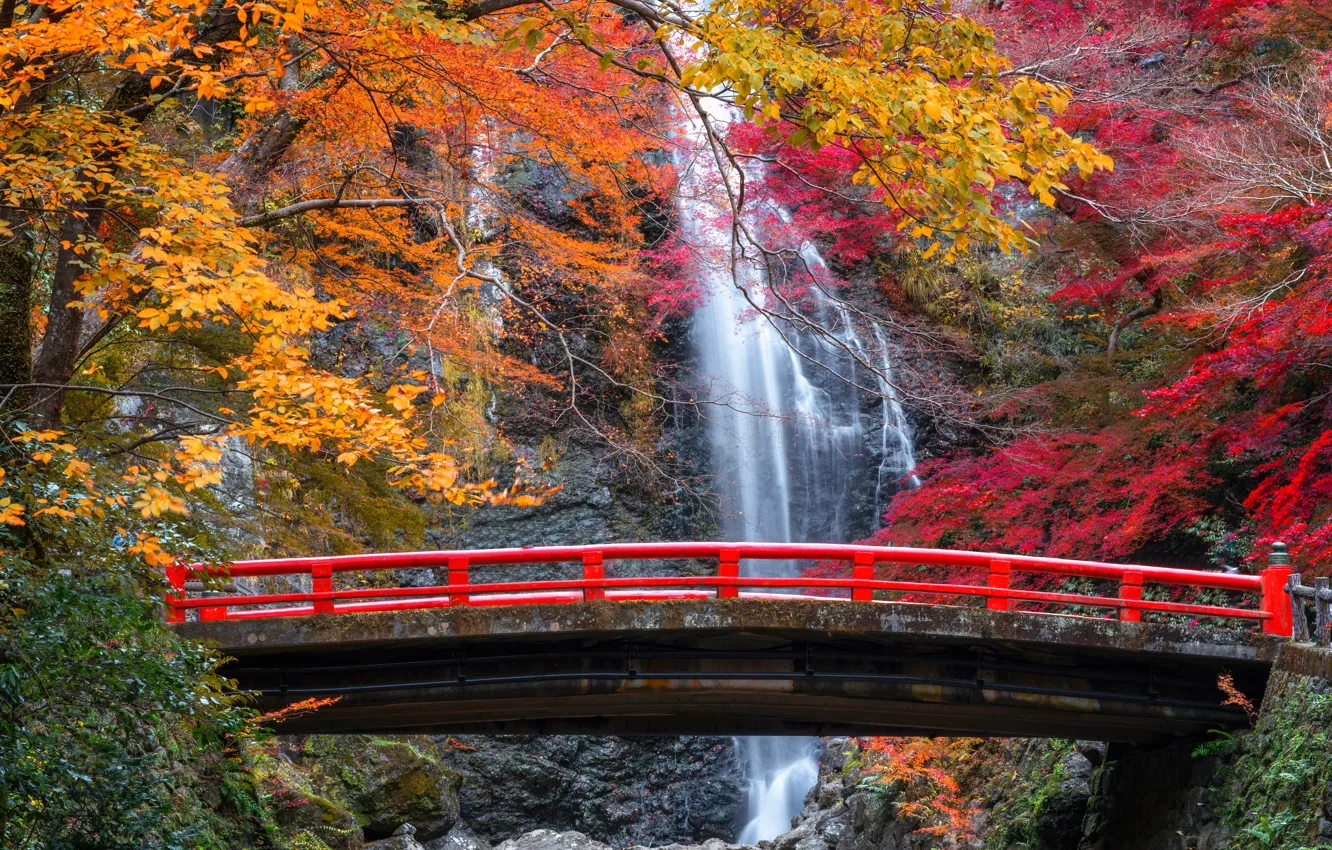 Photo wallpaper autumn, trees, bridge, rock, waterfall, Japan, Japan, Osaka, Osaka, Meiji no Mori Mino Quasi-National Park, …