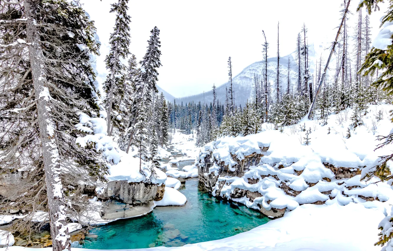 Photo wallpaper winter, forest, snow, trees, stream, Canada, the snow, river, Canada, British Columbia, British Columbia, Kootenay …