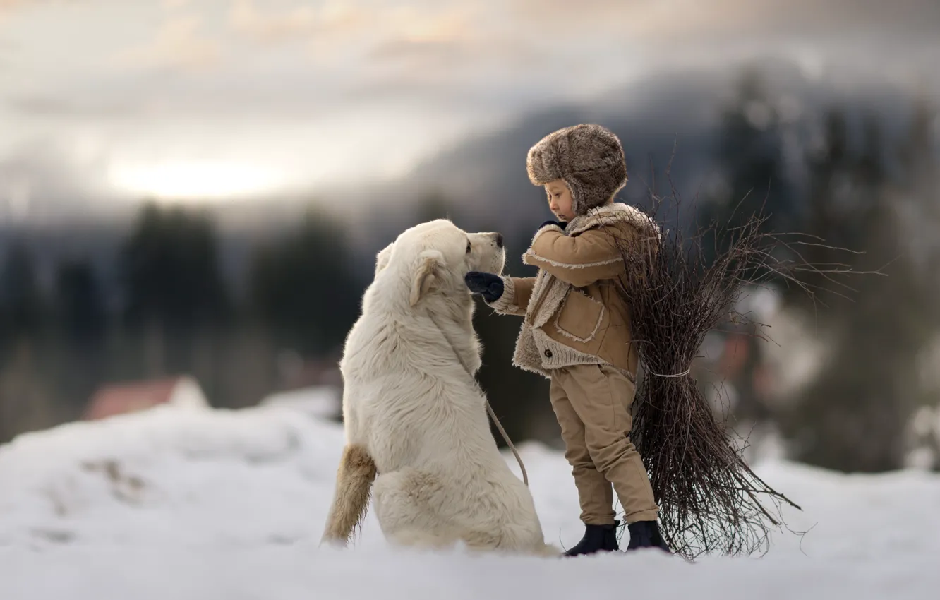 Photo wallpaper winter, dog, boy