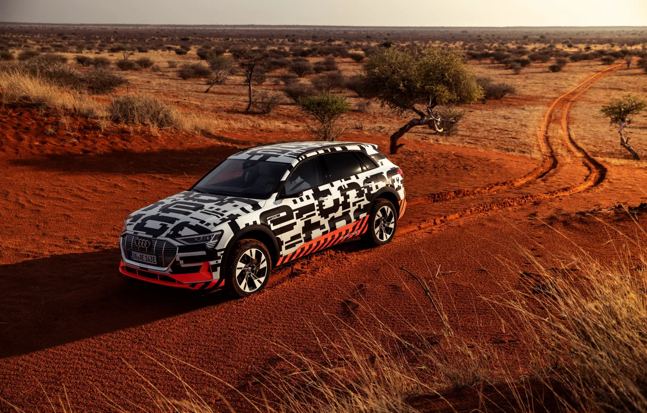 Photo wallpaper Audi, vegetation, desert, 2018, E-Tron Prototype