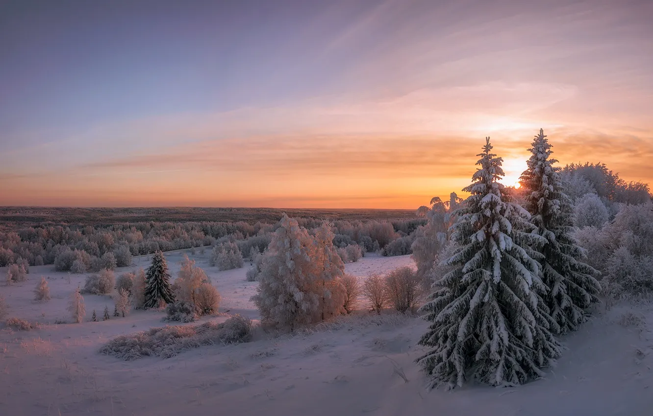 Photo wallpaper winter, snow, trees, landscape, sunset, nature, ate, forest, Arkhangelsk oblast