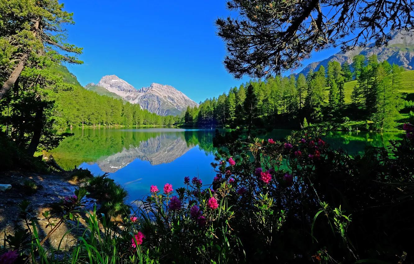 Photo wallpaper mountains, lake, Switzerland