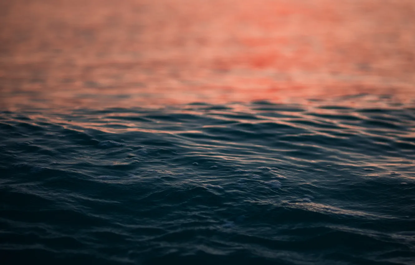 Wallpaper sea, water, sunset, ruffle, sea, sunset, water, ripple images for  desktop, section природа - download