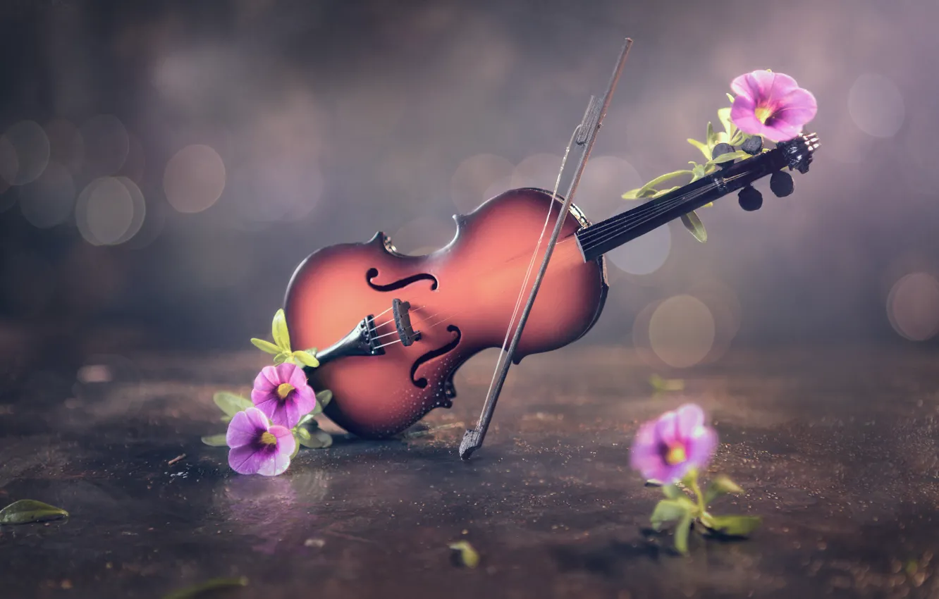Photo wallpaper flowers, violin, bow