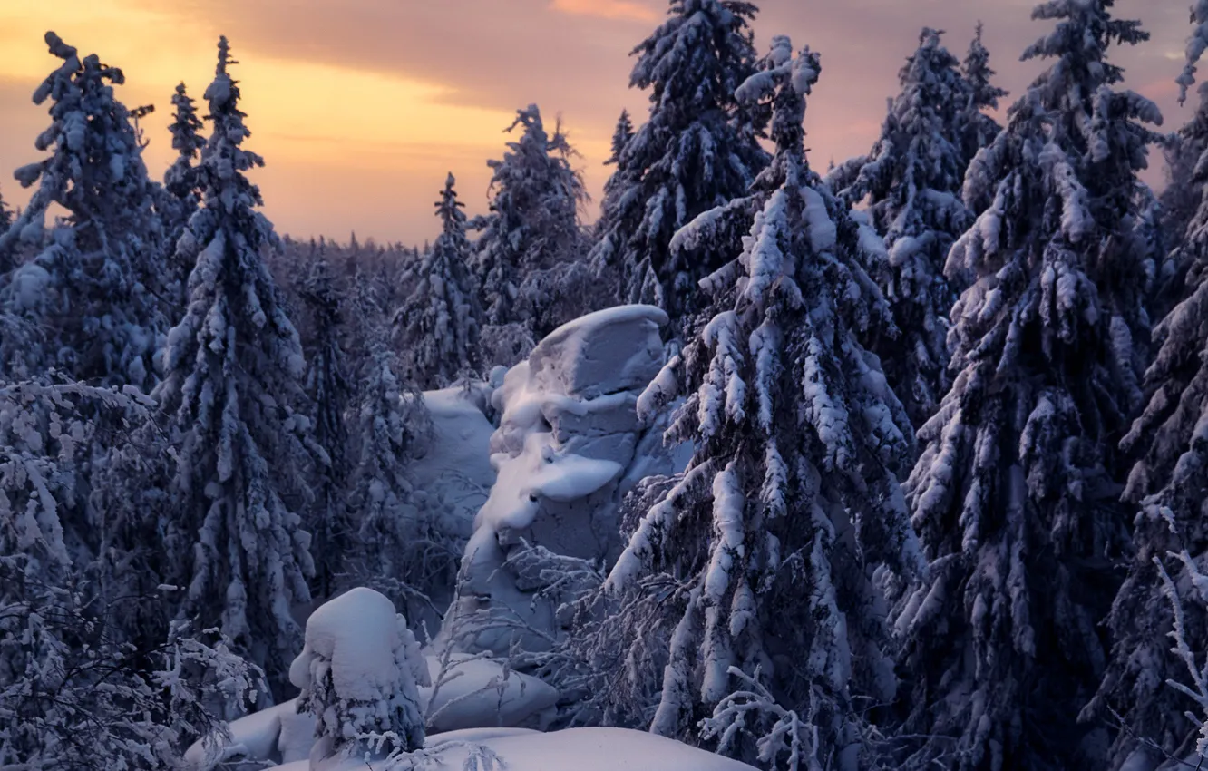 Photo wallpaper winter, snow, trees, landscape, sunset, nature, stones, ate, ridge, Ural, Сергей Межин, Синие горы