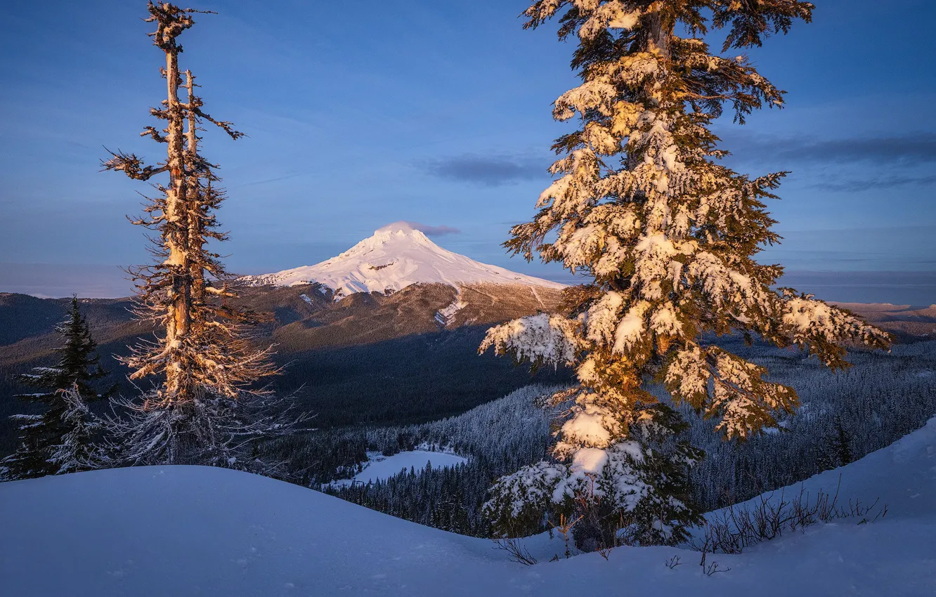 Photo wallpaper winter, snow, trees, mountain, Oregon, Oregon, Mount Hood, The cascade mountains, Cascade Range, Mount Hood