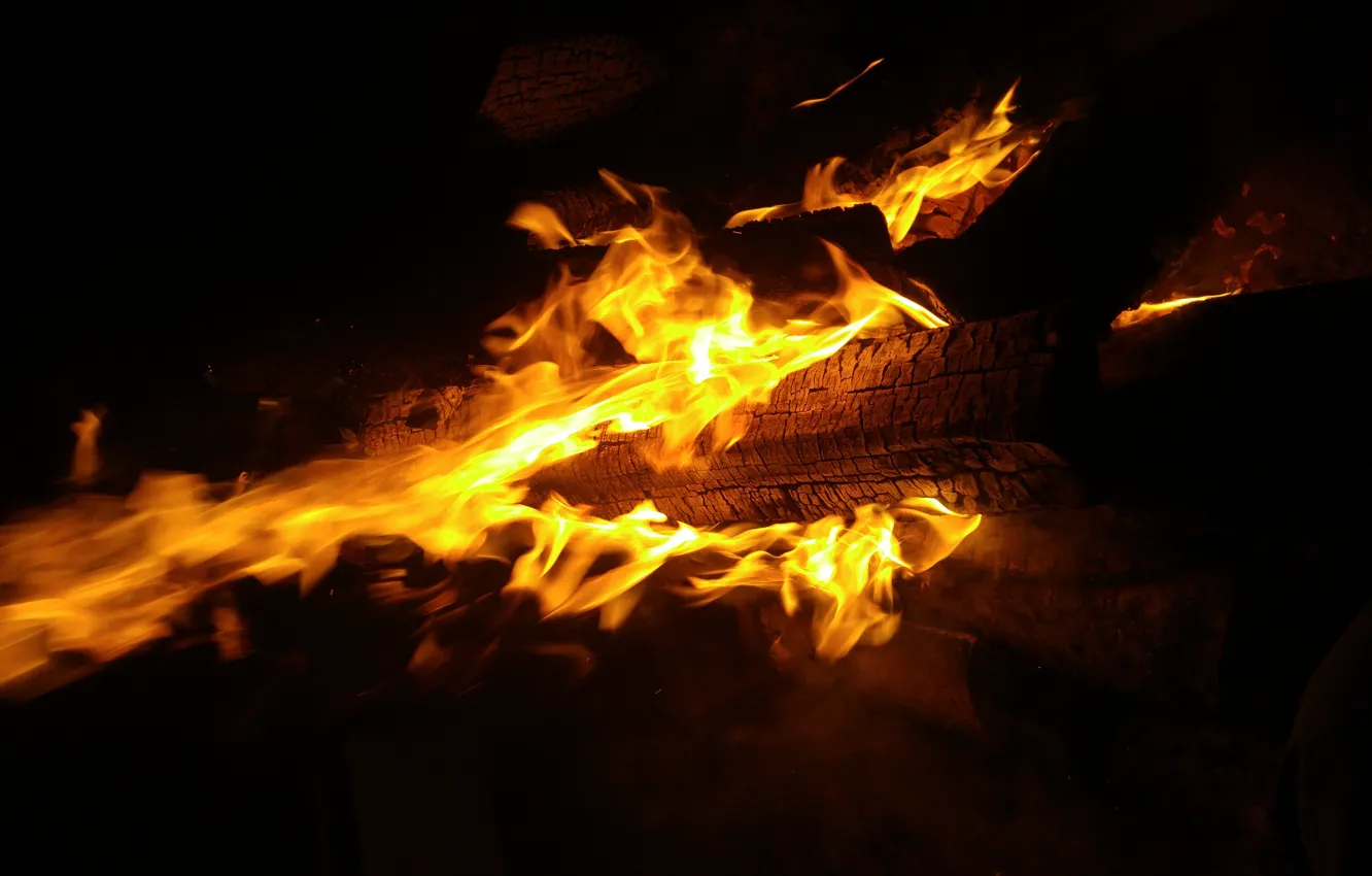 Wallpaper Tree, Night, Fire, The fire, Fire, Flame, Coal, Burns, Red flame,  Bonfire night, Log, Yellow flame images for desktop, section разное -  download