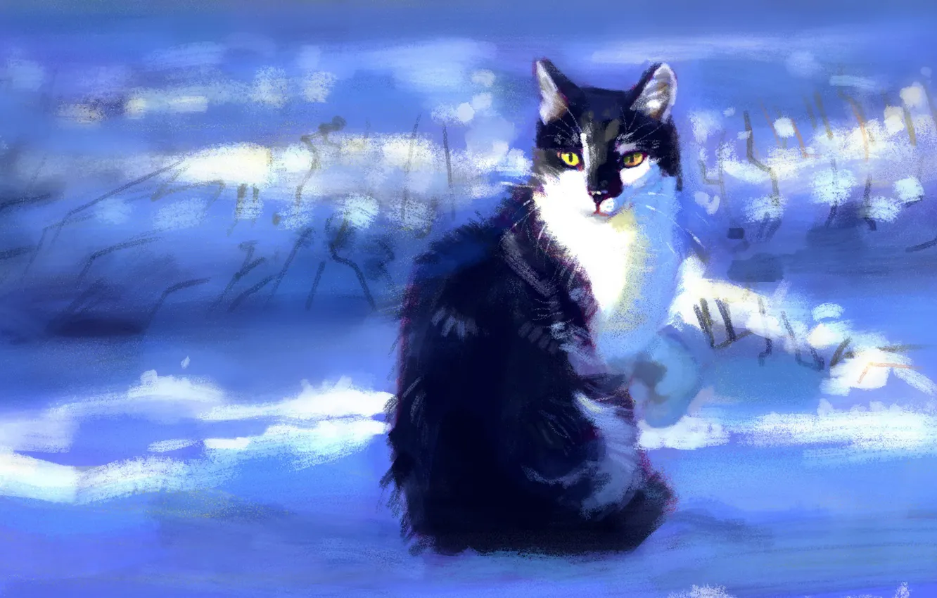 Photo wallpaper winter, cat, snow, sitting, by Meorow