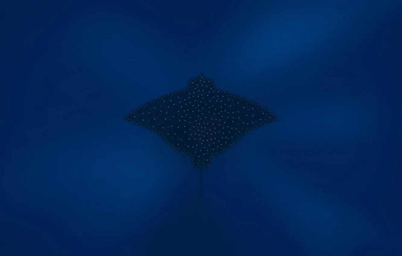 Wallpaper ocean, deep blue, manta rays images for desktop, section  минимализм - download