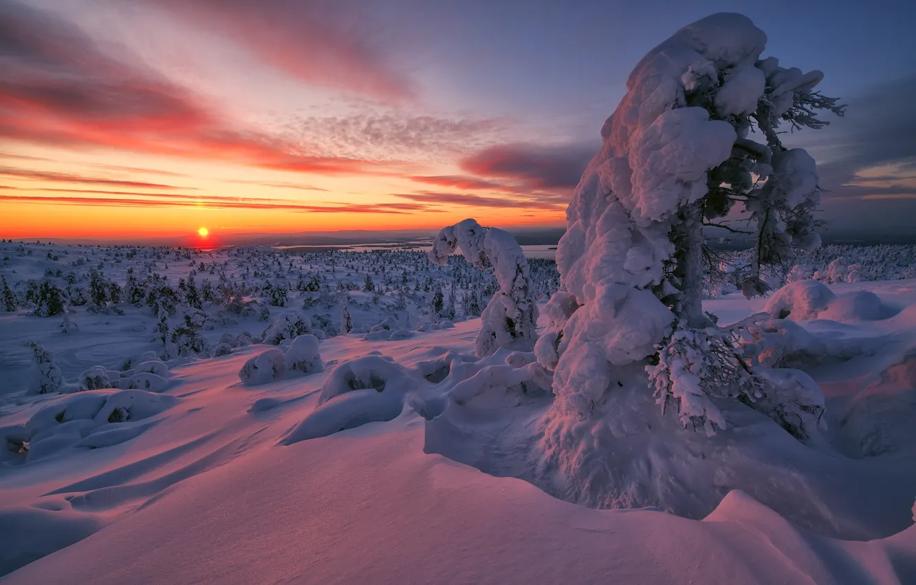 Photo wallpaper winter, snow, trees, sunset, the snow, Russia, Murmansk oblast