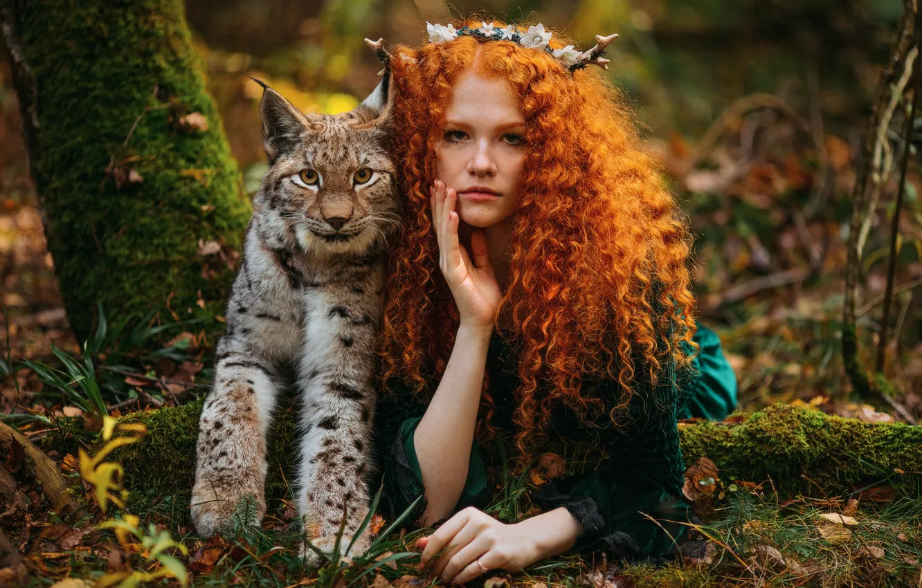 Wallpaper autumn, girl, nature, animal, predator, red, lynx, curls,  Alexandra Savenkova images for desktop, section настроения - download